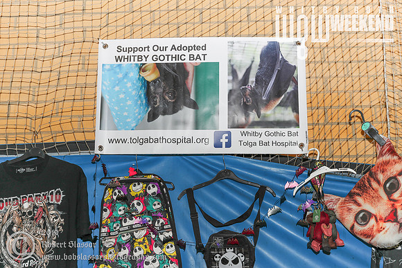Whitby Goth Weekend official photos October 2019. Traders