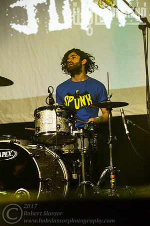 Healthy Junkies