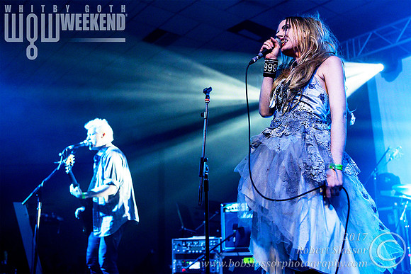 Healthy Junkies