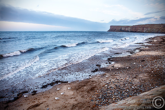 Saltburn