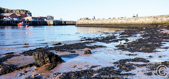 Whitby