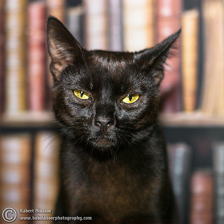 Salem