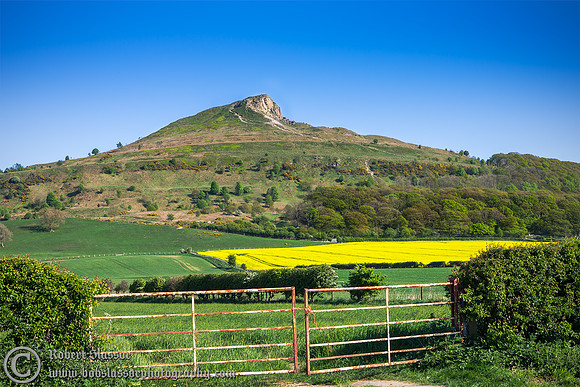Roseburry Topping.
