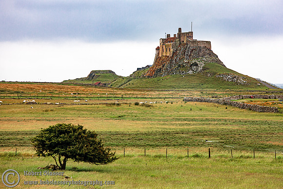 Lindisfarne castle. (Holy Island)