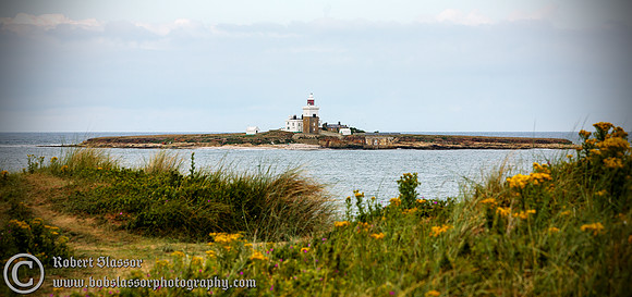 Coquet Island, Northumberland
